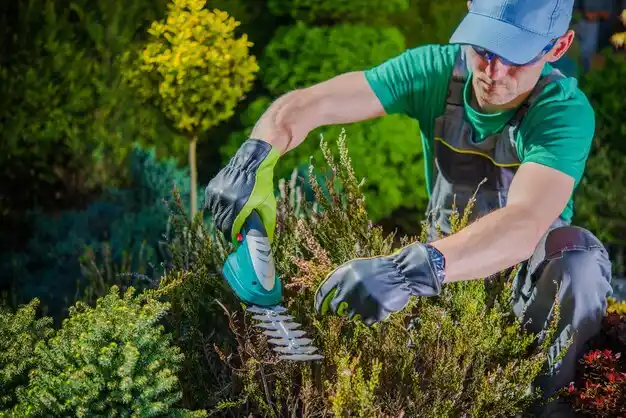 landscaping services Endicott